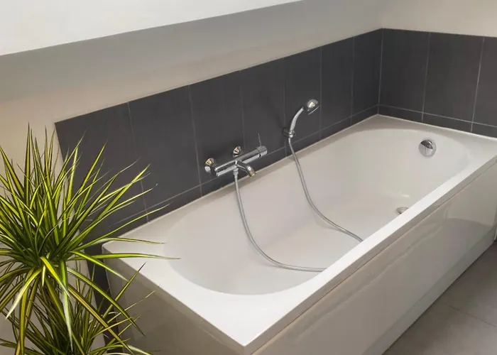 De L'epinay Cassis * Saint-Saëns